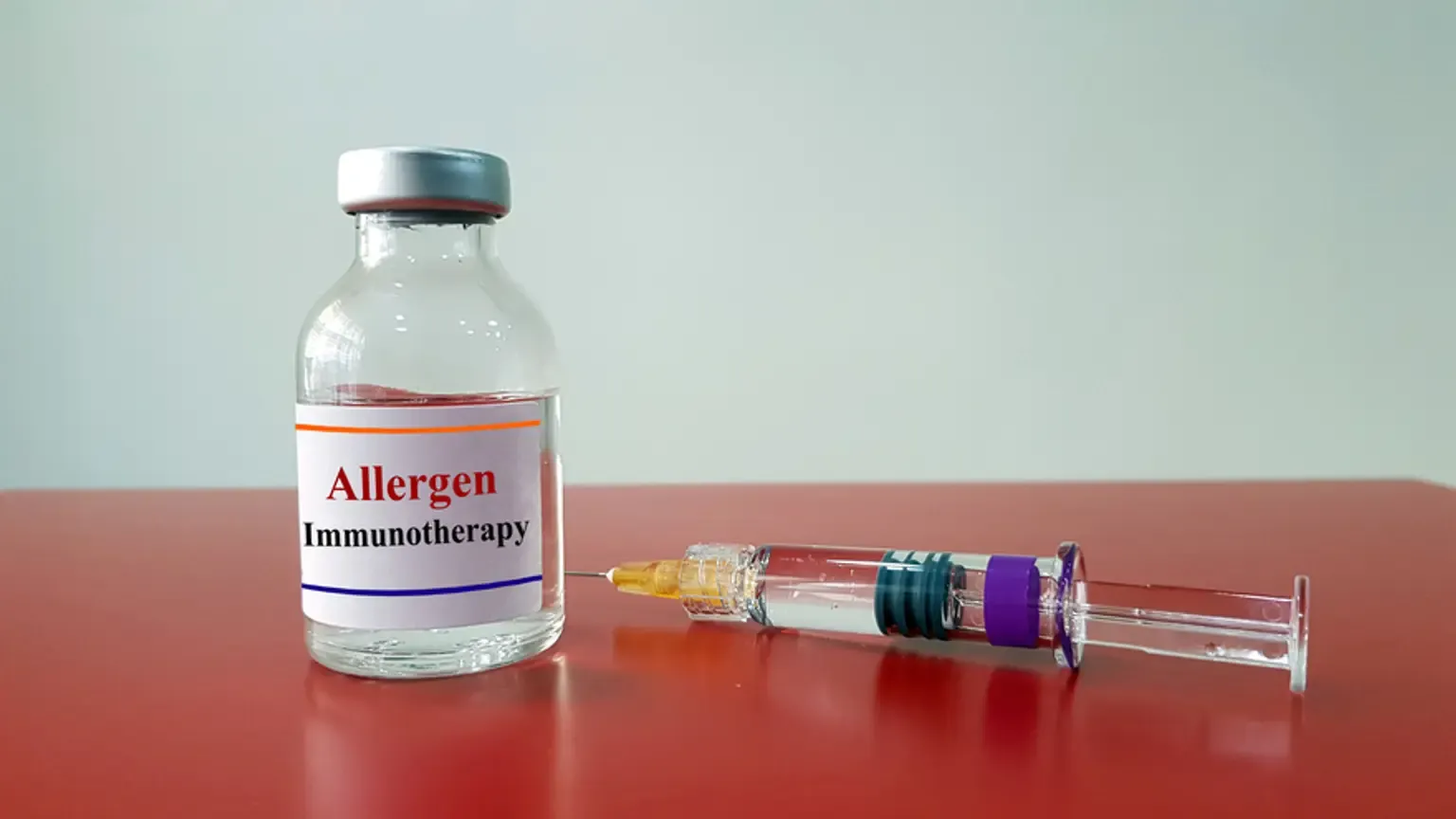 allergy immunology about us