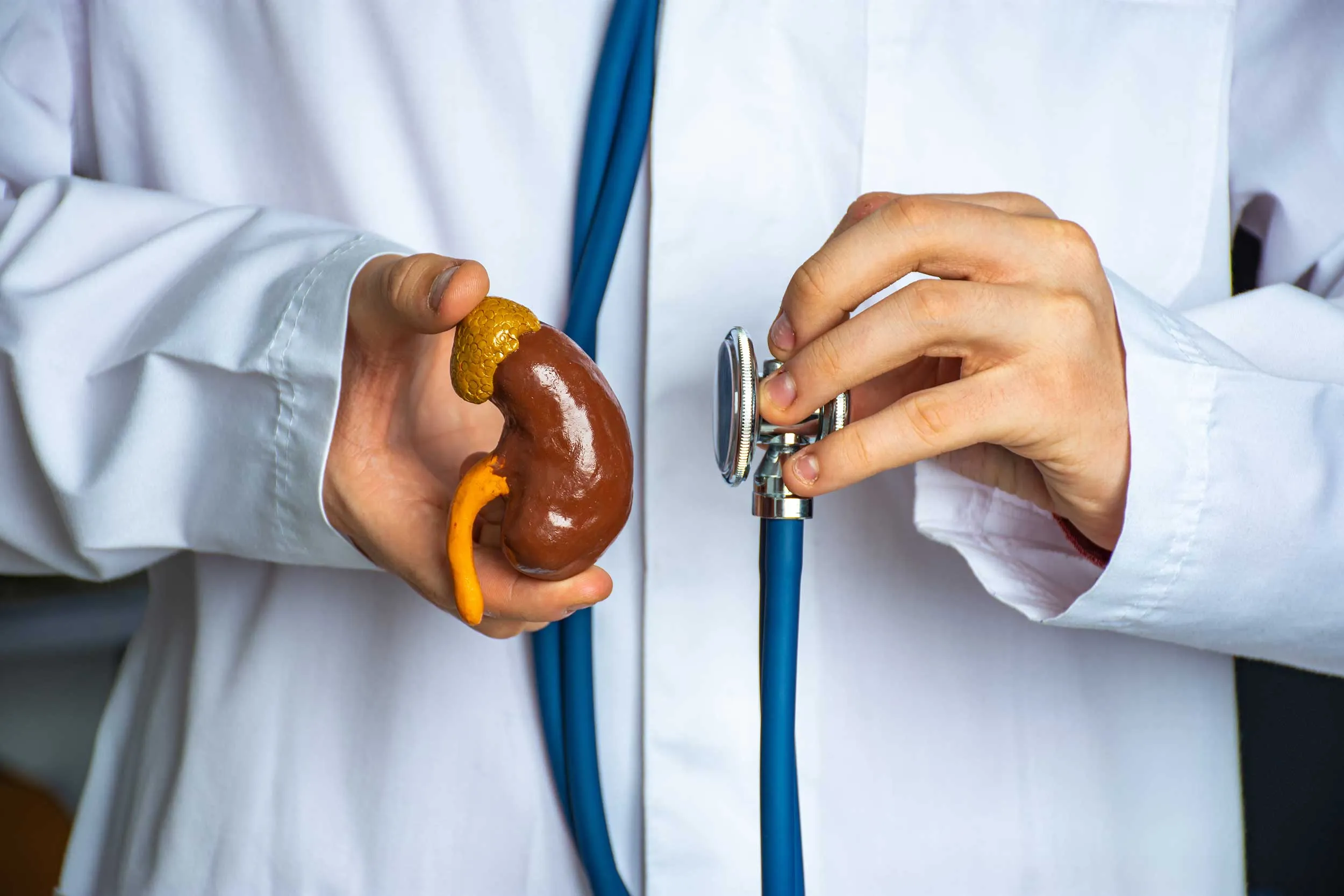 nephrology about us